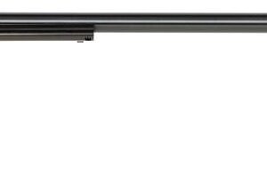 HERITAGE MANUFACTURING RR 22LR COLOR CASE 16" 6RD FS